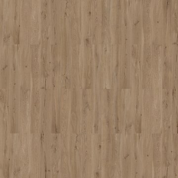 Dakota Oak