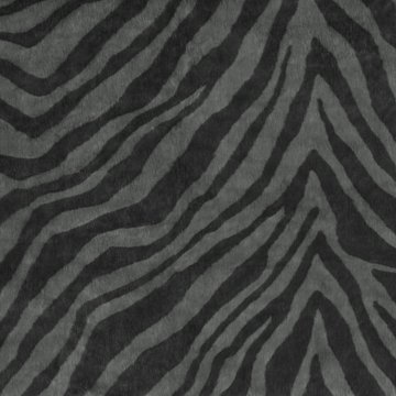 ZINC CASPIAN Z510