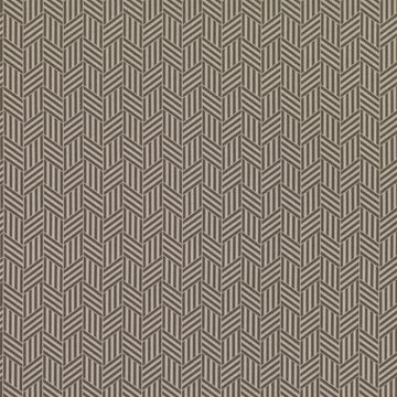ZINC ARMAN Z584
