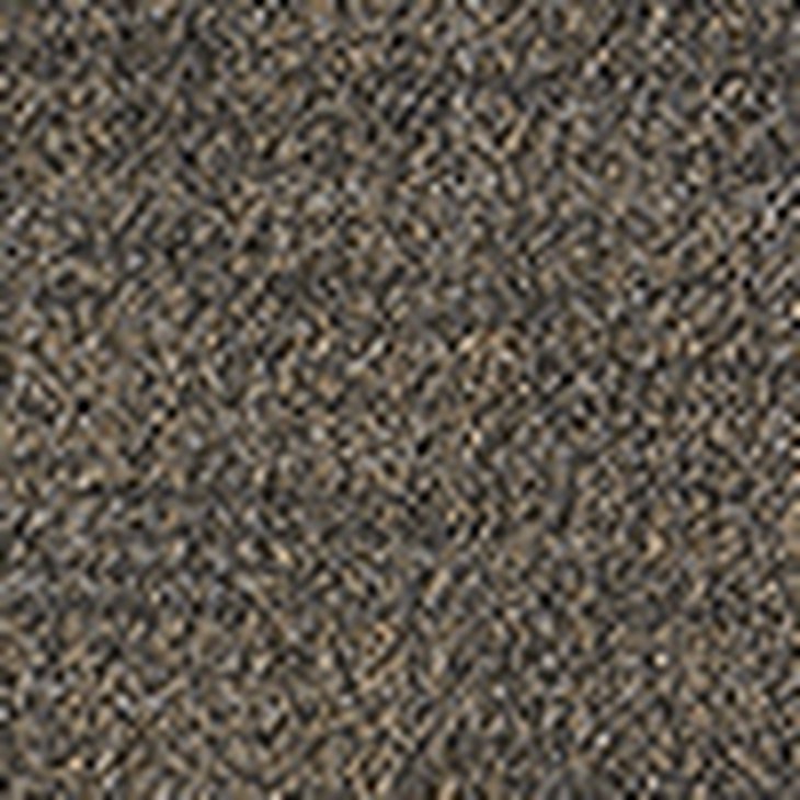 Kokolattiamatto EGE REFORM CALICO WT 840230 400CM