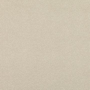 RF 7801/01 CLIO STONE