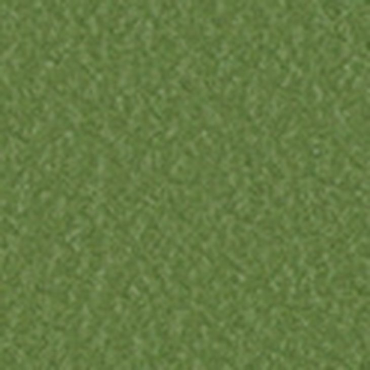 STAMSKIN 20241 VAALEA SAMMAL
