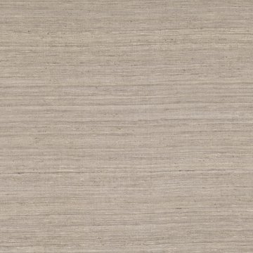 ZI Z574/03 PALISADE SPACEDUST