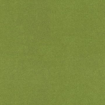 AQUACLEAN NORDIC FR 907 LIME var.