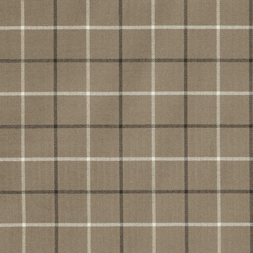 RF 7495/07 BURLINGTON PORCINI