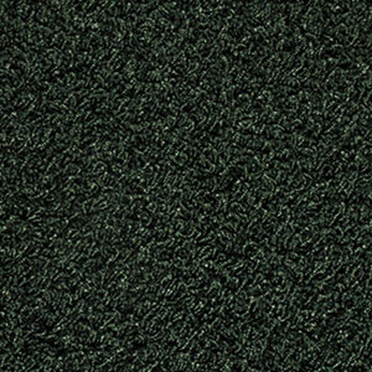 Kokolattiamatto EGE EPOCA SILKY 0838350 VIHREÄ