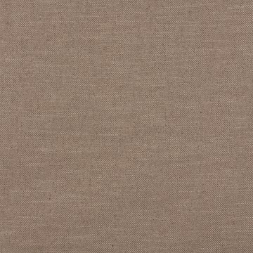 RF 7319/14 PERON PORCINI