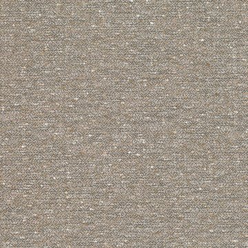 RF 7884/04 ARLYN WILD ROSE