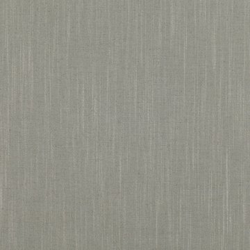 RF 7726/23 ASURI PIGEON