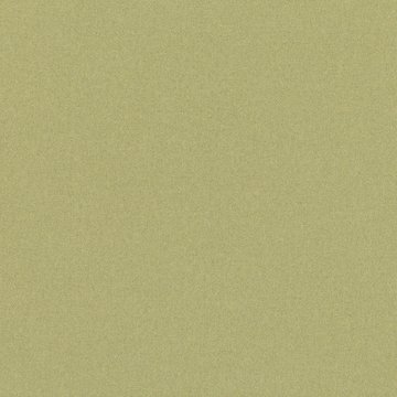 RF 7862/25 OSUMI PISTACHIO