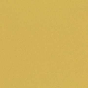 RF 7862/23 OSUMI MAIZE
