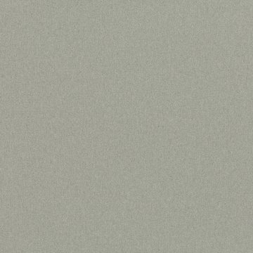 RF 7862/06 OSUMI ASH
