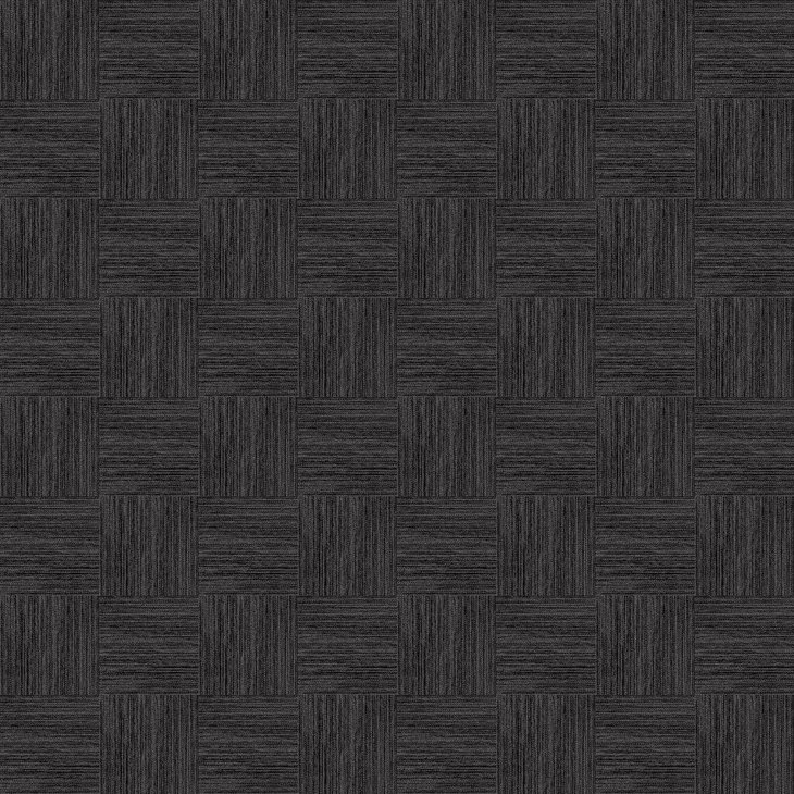 Mattolaatta EGE RAWLINE SCALA ECT350 RFM52952503 48X48CM