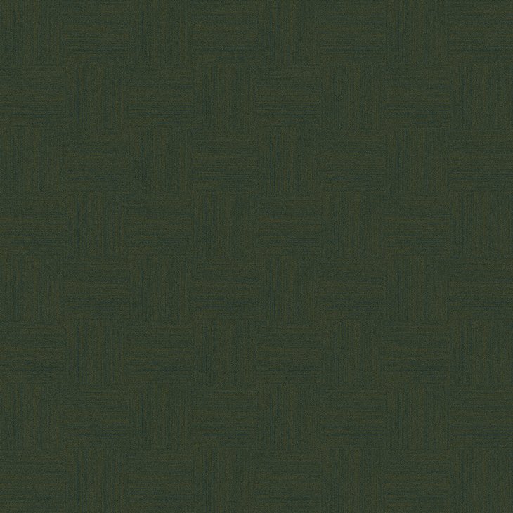Mattolaatta EGE RAWLINE SCALA ECT350 RFM52952505 48X48CM