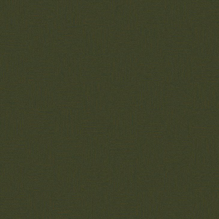 Mattolaatta EGE RAWLINE SCALA ECT350 RFM52952510 48X48CM