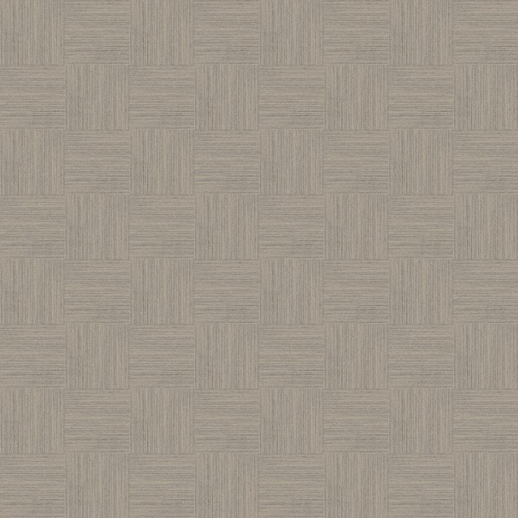 Mattolaatta EGE RAWLINE SCALA ECT350 RFM52952501 48X48CM