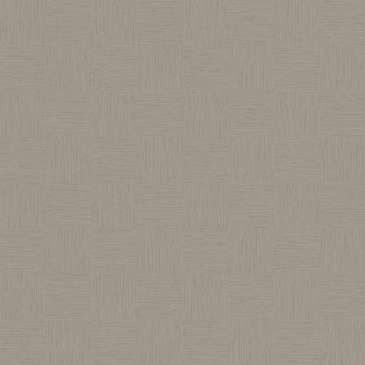 Mattolaatta EGE RAWLINE SCALA ECT350 RFM52952506 48X48CM