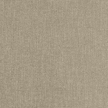 ZI Z577/03 PAMIR DRIFTWOOD