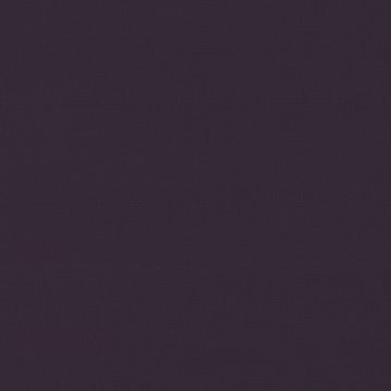 VN 2854/153 GENEVA ELDERBERRY