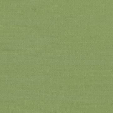 VN 2854/202 GENEVA GRASS