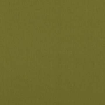 VN 2854/80 GENEVA KIWI
