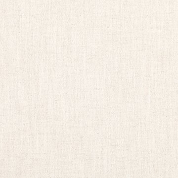RF 7757/07 RUSKIN SILVER BIRCH