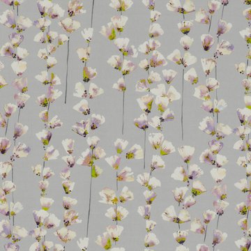 RF 7713/01 HONOR ORCHID