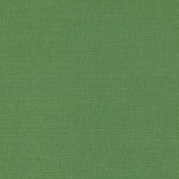 RF 7867/61 MIRO THYME