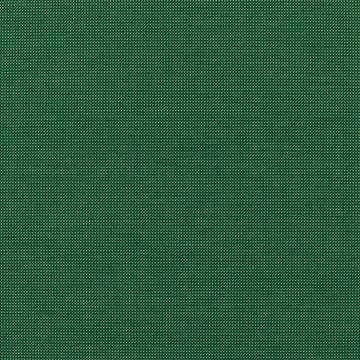 KD K5134/21 MESH FOREST
