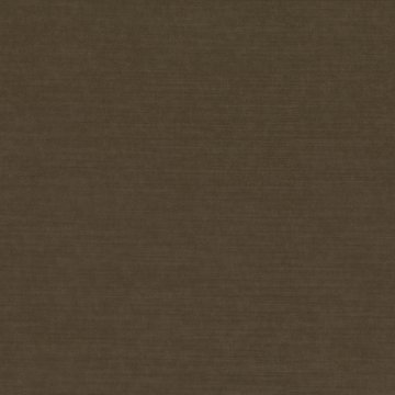 MA M542/28 EMPIRE DESERT PALM