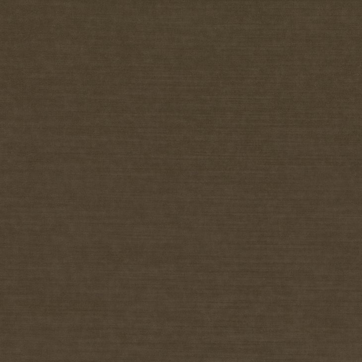 MA M542/28 EMPIRE DESERT PALM