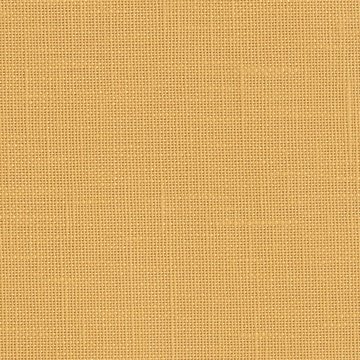 LINETTE 17 MIEL