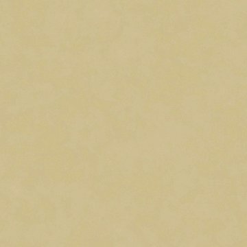AQUACLEAN DAYTONA HP FR 81 VAALEA BEIGE