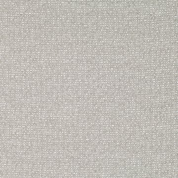 ZI Z592/03 CURTIS SILVER GREY