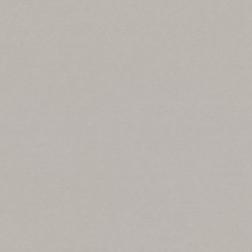 ZI Z547/06 TOKARA DOVE