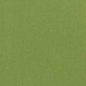 VN V3244/17 LUCERNE GRASS