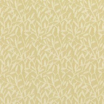 VN V3263/04 ERIN CITRUS