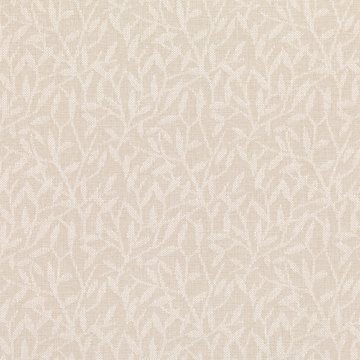 VN V3263/14 ERIN TOFU