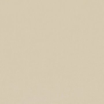 VN V3347/13 BARCELONA CASHEW