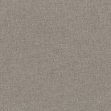 VN V3228/22 CAMBAY ASH