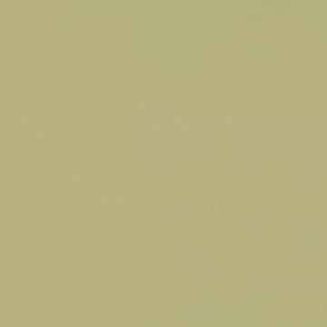RF 7878/31 CELINO PISTACHIO