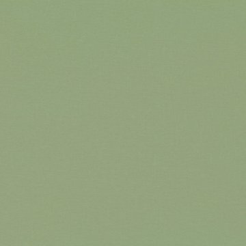 RF 7878/32 CELINO ALOE