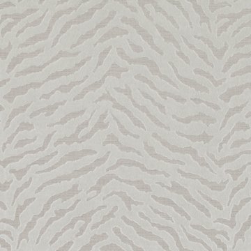 ZI Z513/01 BENGAL MOONBEAM