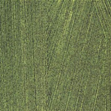 MILLIKEN FACET TB FCT88-141 50X50CM