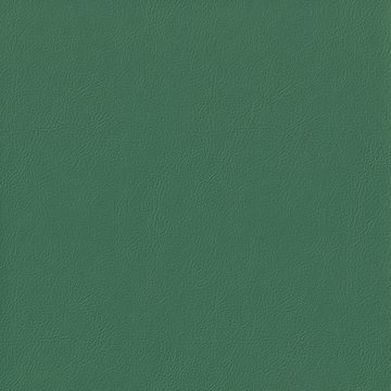 VENUS FR VN031