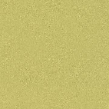 VENUS FR VN026