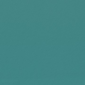 VENUS FR VN029