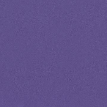 VENUS FR VN037