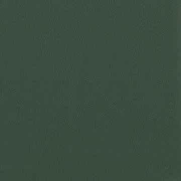 VENUS FR VN034