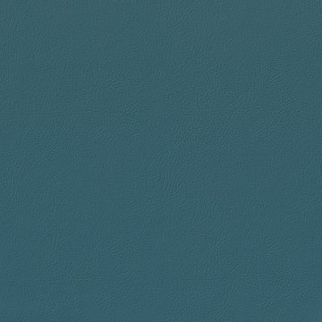 VENUS FR VN030